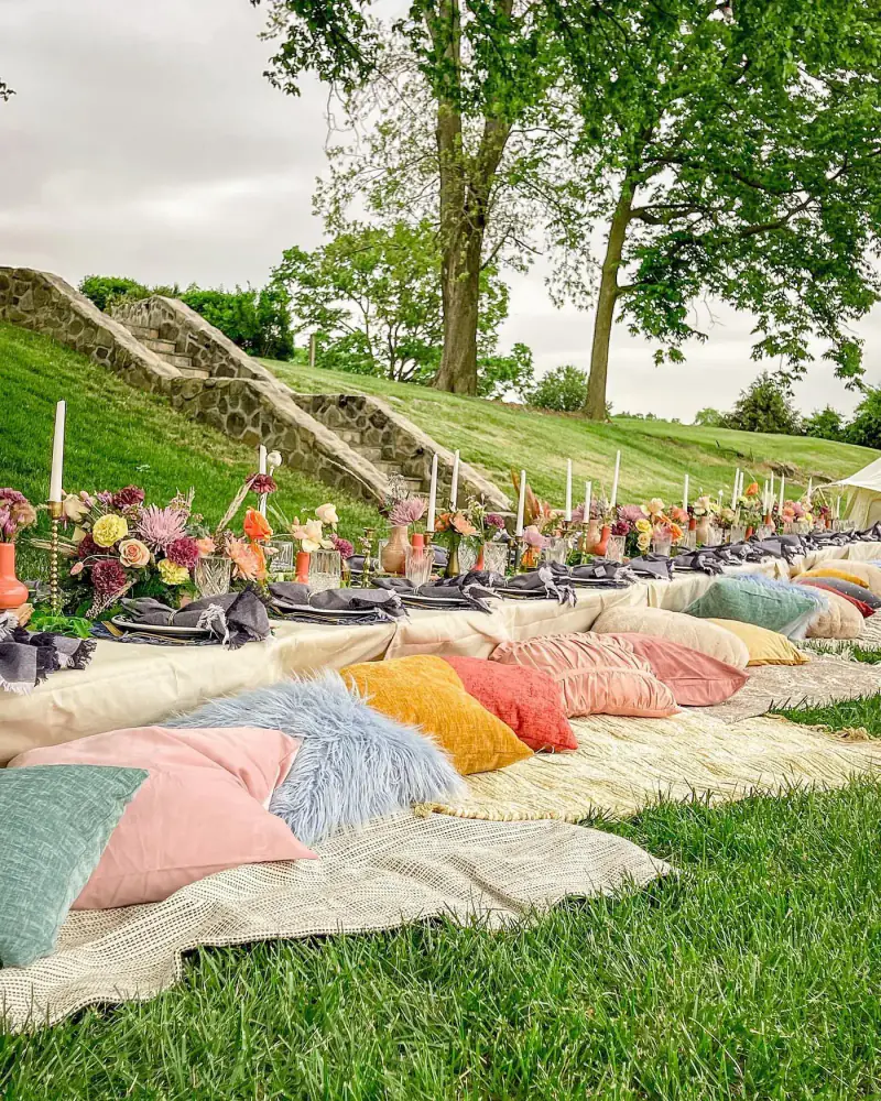 Hillside picnic with pillows