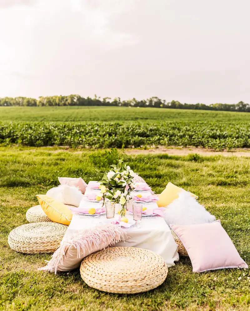 Low picnic table set in an open field